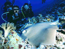 Scuba Diving Philippines