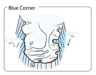 Blue Corner