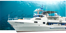Scuba Diving Destinations
