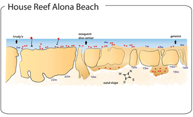 Scuba Diving Philippines