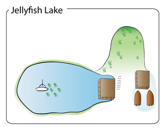 Jellyfish Lake