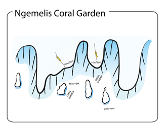 Ngemelis Coral Garden