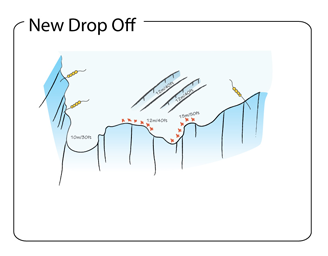 New Drop Off