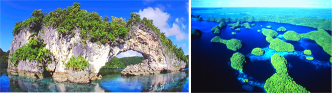 Scuba Diving Palau
