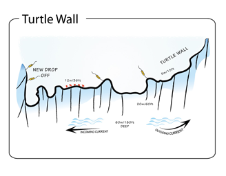 Turtle Wall