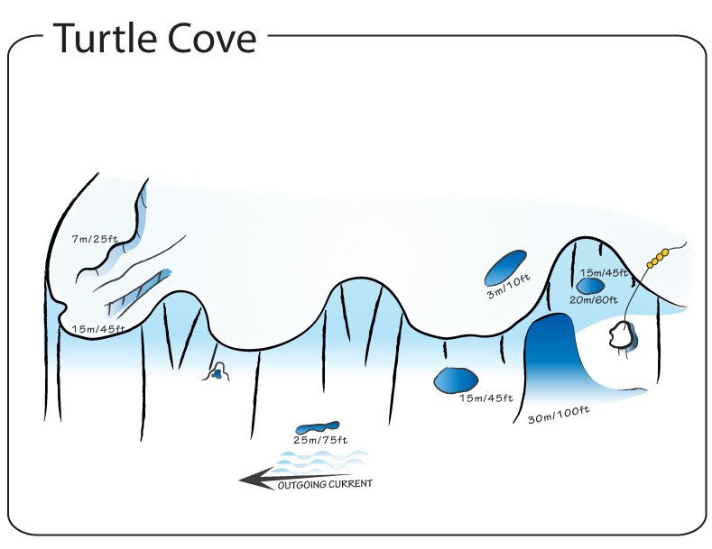 Turtle Cove